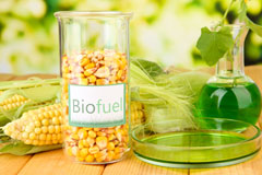 Stoke Poges biofuel availability